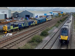 Trains at Loughborough & ￼Leicestershire ￼L.I.P + Brush Depot 60s & 92s, as well as 37 Moves.