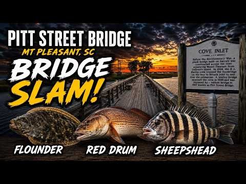 Pitt Street Bridge Inshore Fishing - Red Drum, Sheepshead, Flounder - Mt. Pleasant, SC