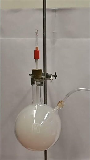 Cigarette Experiment