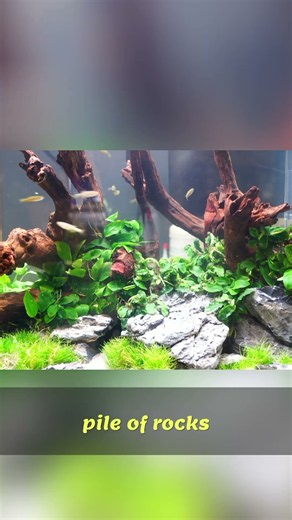 Easy Aquarium Plant Propagation - Grow More with Less Effort