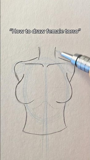 How to draw female torso
