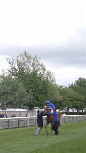 It was William Buick’s day 🏆 His Betfred 1000 Guineas scenes make the @nyetimber Celebration of the Day 🎉 #horseracing #horsesofinstagram | The Jockey Club