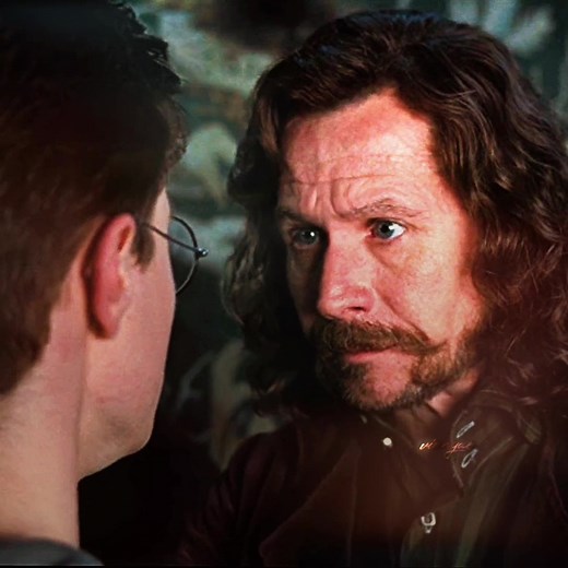 Harry Potter and Sirius Black: The Nice One James Moment