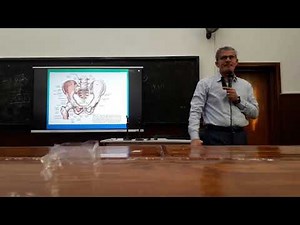 Hip Biomechanics Part II SCU 2024