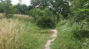 Plot for sale Location Panr Mingora Swat Total area 11000 square foot Demand 650 per square foot For details plz contact on 92 346 5949318 | Swat Property Centre & Builder