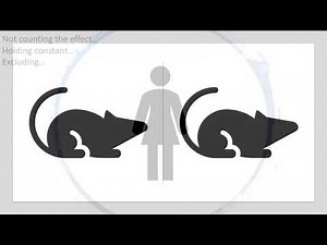 What do we mean by "controlling for a variable" in statistics?