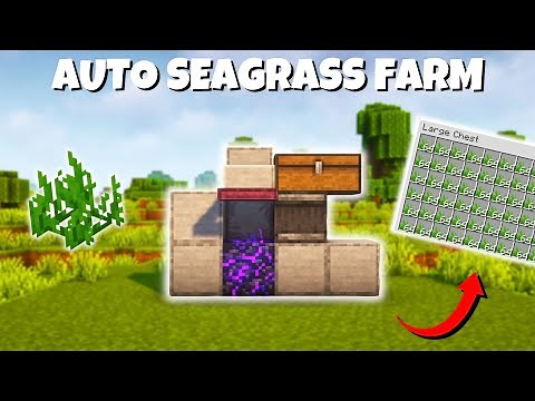 Easy Automatic Seagrass Farm | Minecraft 1.21+