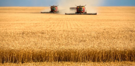 Food democracy: why eating is unavoidably political