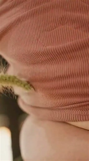 Greenhouse Chaos: When the Plants Start Fighting Back 😂🌿