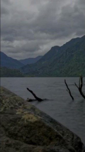 Chapter 20: 🌲 Alerce Andino National Park, Chile's Ancient Forest!! #tourism #bestdestinations