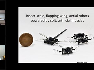 Insect Scale Flapping Wing Aerial Robots Powered by Soft Artificial Muscles pres