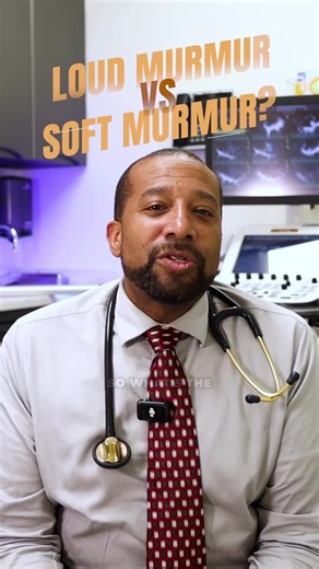 Heart Murmur Loudness vs Severity in Pets: What Owners Should Know