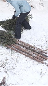 Emergency Bed In the Forest! | Crafty Panda