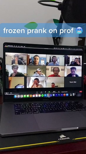 good luck on semester 2 on zoom y’all ❤️ #fyp #foryou #zoom #prank #viral #frozen