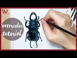 How to Paint a Beetle using Watercolor | Realistic Insect Painting Tutorial- Windy Shih