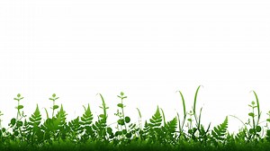 Download Animated cartoon background. Looped animation of grass. Video animation with grass leaves growing and moving in the wind. Flat footage. side view. 4K seamless loop video footage for free