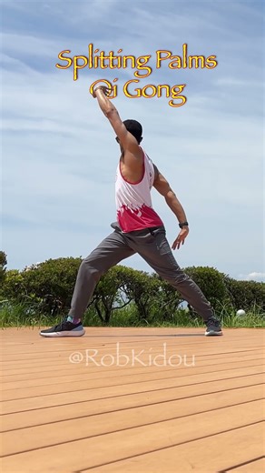 Qi Gong + Deep House Music☯️ #qigong #taichi #fitness #exercise #housemusic #deephouse #nogymworkout