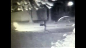 34K views · 424 reactions | Targeting Trump signs. They're being stolen, set on fire-- even run over. It's happening a lot in Ashtabula County and it's being caught on tape. In at least one case- it's being posted on social media. | Fox 8 News | Facebook