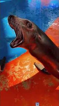 i will never stop posting these 😭WHY ARE THEY SO CUTE AND #sealions #sealion #metoo #emote #fyp