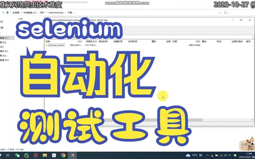 Selenium工具安装教学 安装驱动 官网：https://googlechromelabs.github.io/chrome-for-test