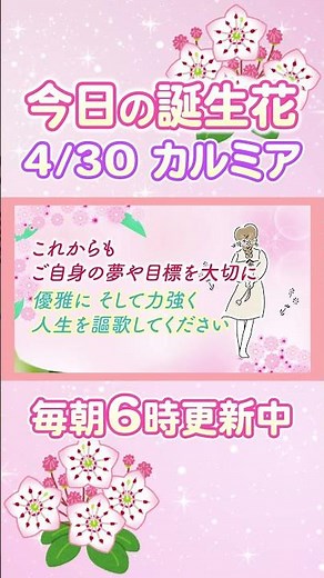 今日の誕生花と癒しのメッセージ🌸 #誕生日おめでとう #4月30日 #カルミア