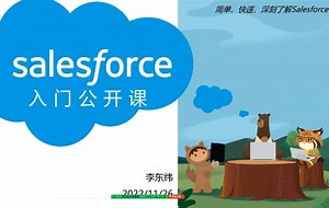 Salesforce入门公开课【东北话版】一镜到底无删减！