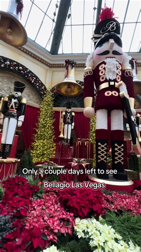 The Bellagio Conservatory & Botanical Gardens changes its 14,000-square-foot display five times annually to reflect the seasons. Only a couple days left before the display changes to the Lunar New Year. #bellagio #lasvegas #vegasstrip #thingstodoinvegas #free