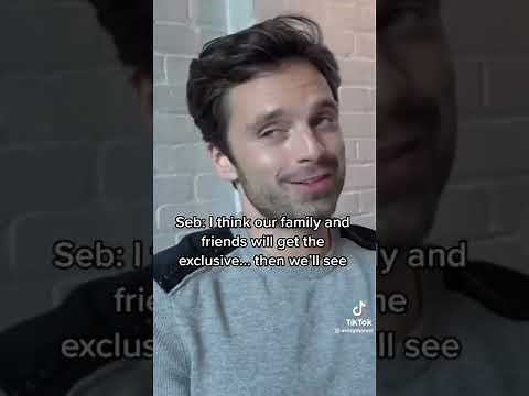 Y/n x Sebastian Stan || Part 1