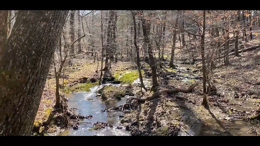 The Womble Trail is 33 miles of outdoor adventure and beautiful scenic overlooks like you've never experienced! It's considered the jewel of the Ouachita Mountains (as far as trails go) and a designated International Mountain Bicycling Association (IMBA) EPIC ride! The Womble is perfect for your next adventure, whether you tackle a small section for an enjoyable hike, plan a bikepacking adventure or want an epic challenge on The Ouachita Challenge (a 60 plus mile loop and two days of mountain bi