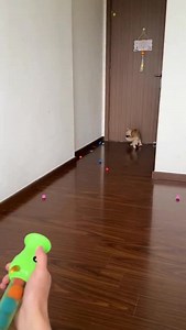 Pew! Pew! Pew! 😼🎯 This air-powered blaster shoots 10 soft foam balls up to 8 meters for the most epic chase sessions. Your cat won’t know what hit ‘em (but it won’t hurt!). Link in bio to arm yourself with fun! #CatToy #MustHave #FoamBlaster #CatGames #CatsOfInstagram Playful ShopNow | NioPets