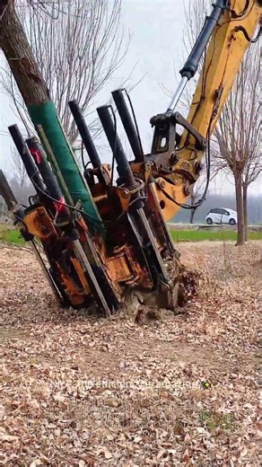 Have you seen this tree-digging machine? 🌳 #lifehacks