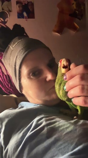 Life with a baby Amazon parrot 🦜 #parrot #parrotlover #amazonparrot #birds