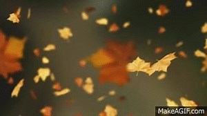 Falling Autumn Leaves Background loop 2 (Read Desc) on Make a GIF