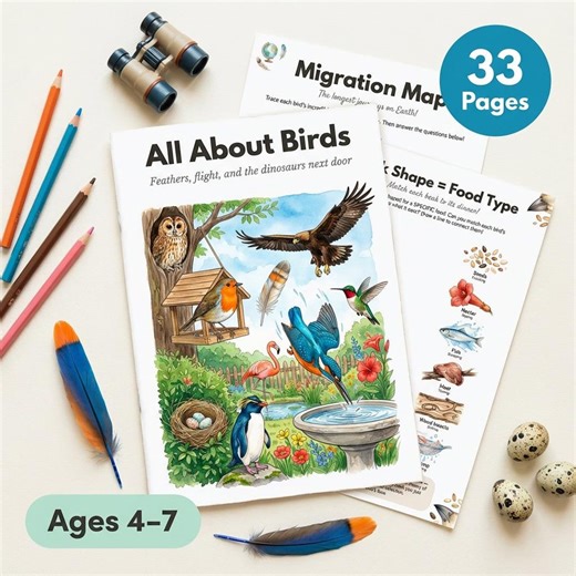 All About Birds Worksheets | Feathers, Migration, Dinosaurs (Ages 4-7)