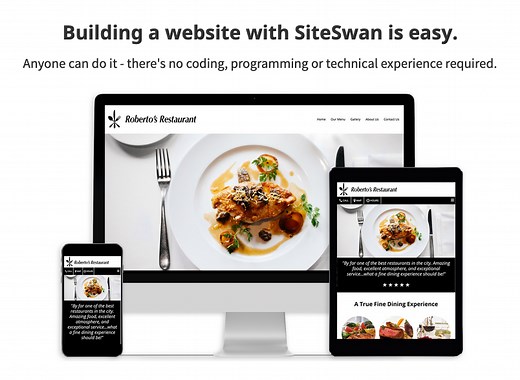 Instant Website Creation - SiteSwan Website Builder