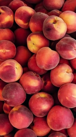 Tiktok dances challenge 2026 ! Trend 2026! Tiktok random dance 2026! Trendy Tiktok 2026! #танцуйеслизнаешэтоттренд2026года #TIKTOKDANDESCHALLENGE2026 #TIKTOKRANDOMDANCE2026 #trend2026 #танцы