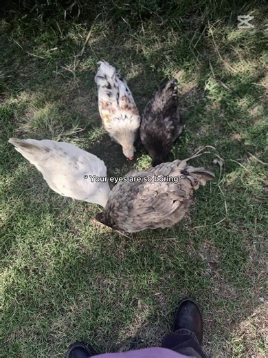 cheeky ✌🏻😛 (@ilovesleep2910)’s videos with original sound - cheeky ✌🏻😛