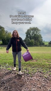 57K views · 2.3K reactions | If a stallion charges at you from behind always keep your cool. Unless it’s Sox and then just RUN. #Stallion #horses #sox #stud #dragon #showjumping #horsetrainingtips #horsetraining #equestrian #fyp | Tanya Tydeman | Facebook