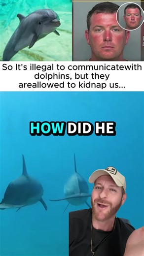 Florida Man Claims Dolphins Kidnapped Him for Underwater City