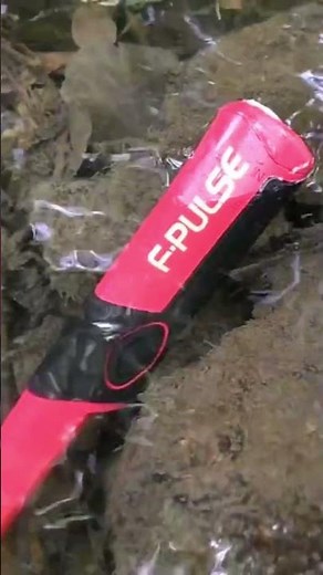 Работает в любых условиях пинпойтер Fisher F Pulse