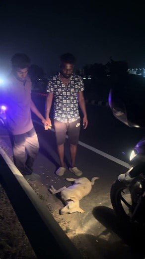 Please 🦴🥺🐶 #dog #doglife #vlog #explore #instagood #pets #accident #safetyfirst #streetdog