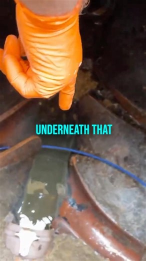 How Do Rats Get In House? #pestcontrol #plumbing #rats