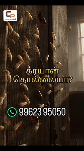 Professional Pest Control Services in Chennai | For Termites, Cockroaches, Bed Bugs & More #shorts