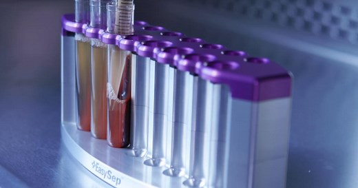 最短20分でヒト全血から磁気細胞分離「EasySep Direct」｜注目の製品情報 | ベリタス