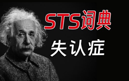 【STS词典】失认症