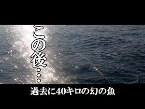 過去に４０キロの幻の魚巨大クエが釣れた場所でとんでもない奇跡が…【クエ釣り】