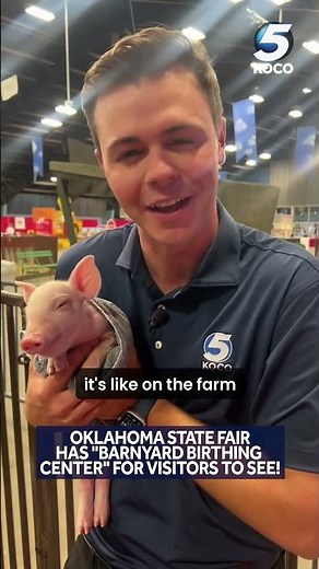Check out "Barnyard Birthing Center" at the Oklahoma State Fair