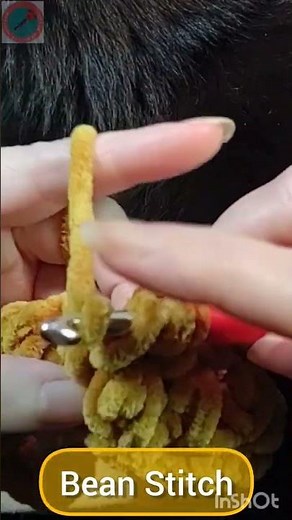 Bean Stitch using Chenille Yarn!