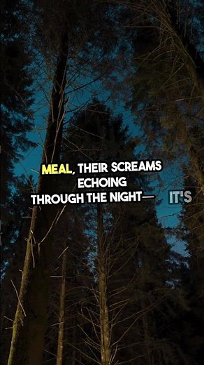 The Terrifying Scream of the Tasmanian Devil! #AnimalSounds #Wildlife