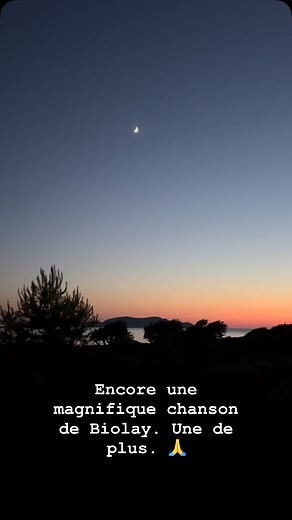 Stéphane Guillon on Reels